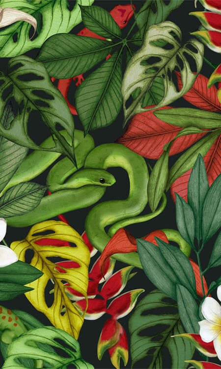 ♥ Nieuwe Succubus Collectie ♥